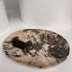 Very large empty pocket or petrified wooden flat