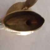 Canards laiton