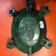 Vide poche cendrier tortue