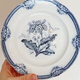 2 old Moss Rose J. Ridsway English porcelain plates