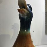 Carafe duck dabbling