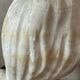 Marble bust of a woman