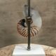 Vintage Nautile lay lamp