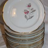 Lot of 13 Plates at Dessert Porcelaine Vierzon C.G.