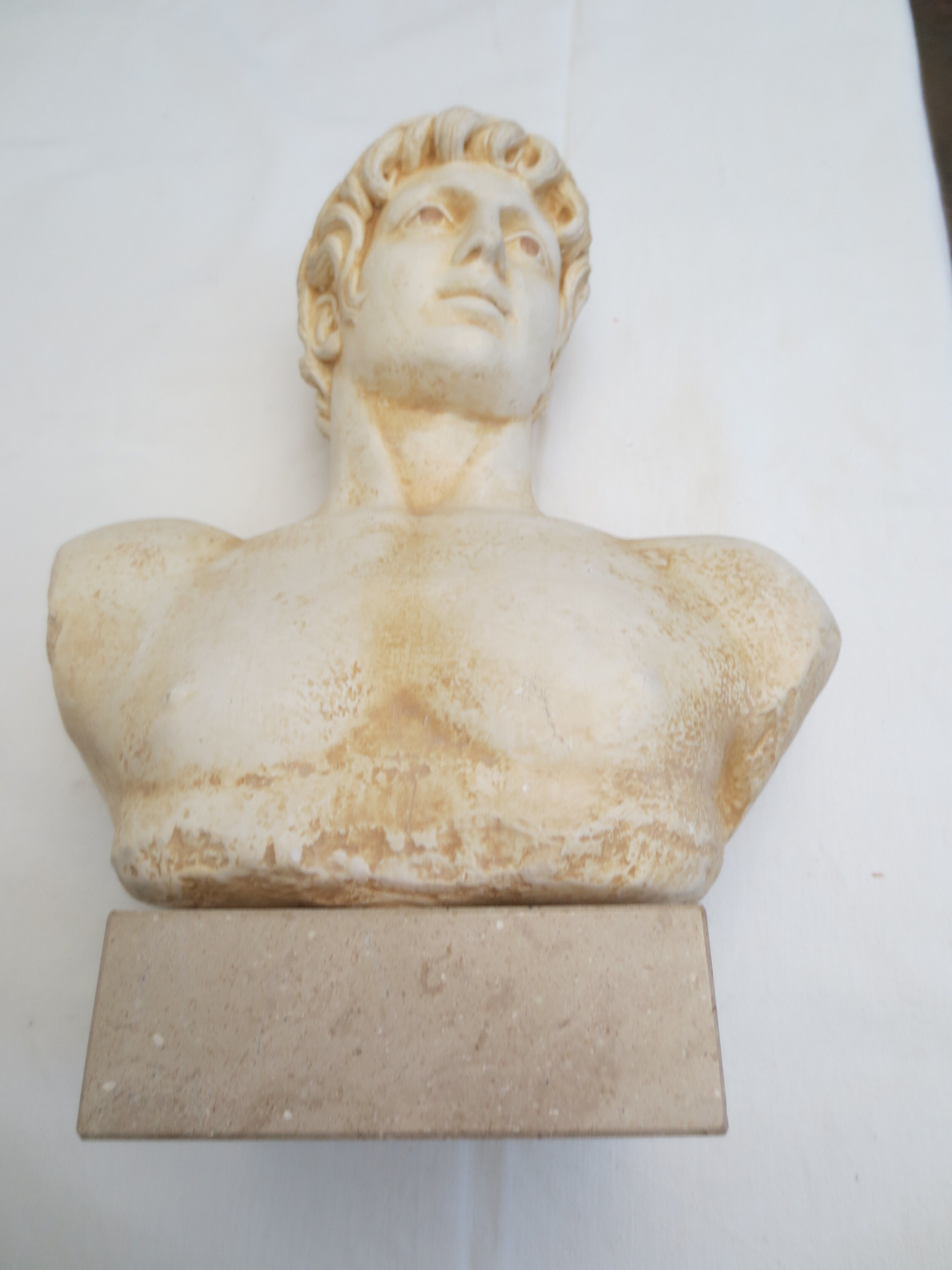 Bust of an ancient man