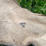 Reindeer skin rug