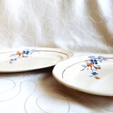 2 vintage Sarreguemines dishes, table service dishes with floral hand decoration