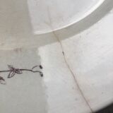Jules Vieillard flat plate Colibris model