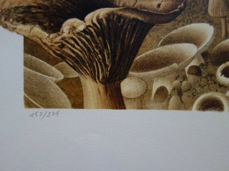 Roland CAT: Bicycle and Mushrooms, original signed lithograph