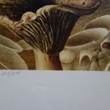 Roland CAT: Bicycle and Mushrooms, original signed lithograph