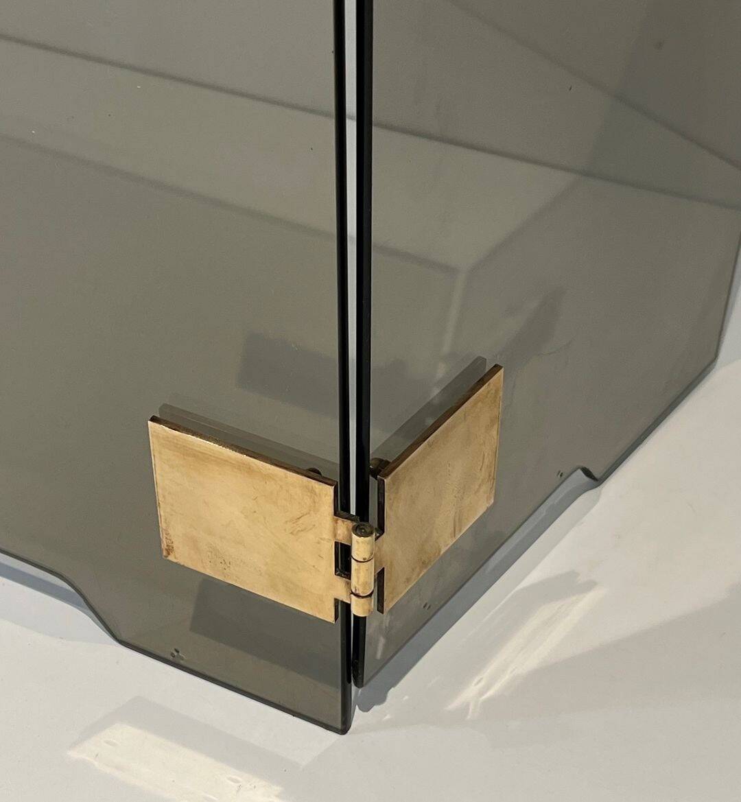 Three-Panel Folding Fire Screen in Smoked Glass with Polished Brass Hinges,