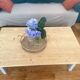 Wooden coffee table
