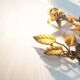 Pair of antique Gilt Italian Sconces – Italy 1960’s