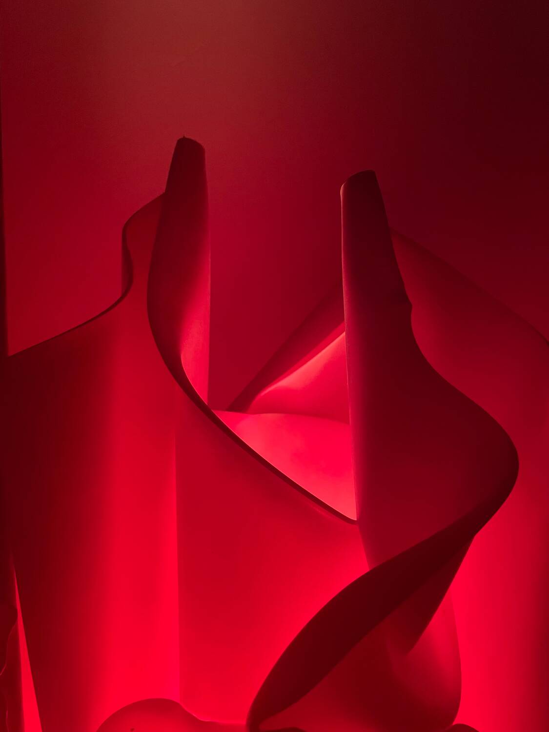 Les Exclarares XXL corolla lamp