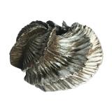 Ceramic vase deceives the eye of Jova kale