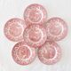 6 assiettes vintage EIT England rouges