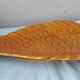 Fish dish Vallauris Lunetta
