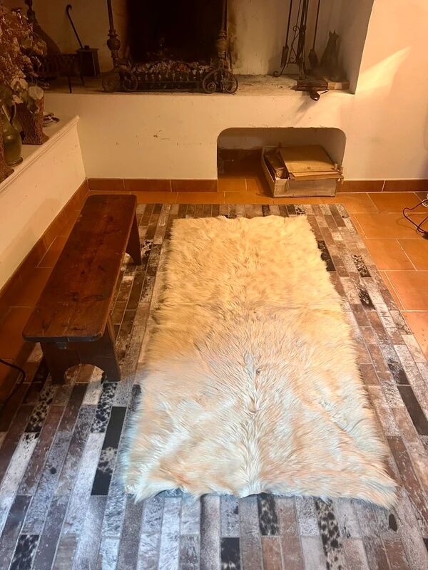 Animal skin rug