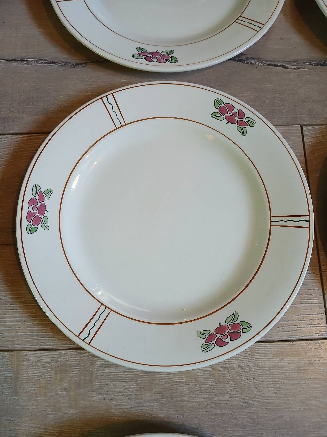 14 Terre de fer SALINS "Water Lily" plates