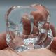 2 white crystal salt signature baccarat