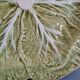 Green slurry dish antique cabbage pattern