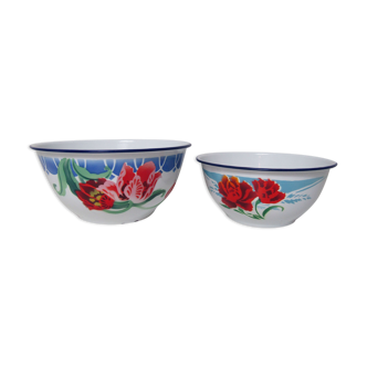 Set of 2 enamelled salad bowls