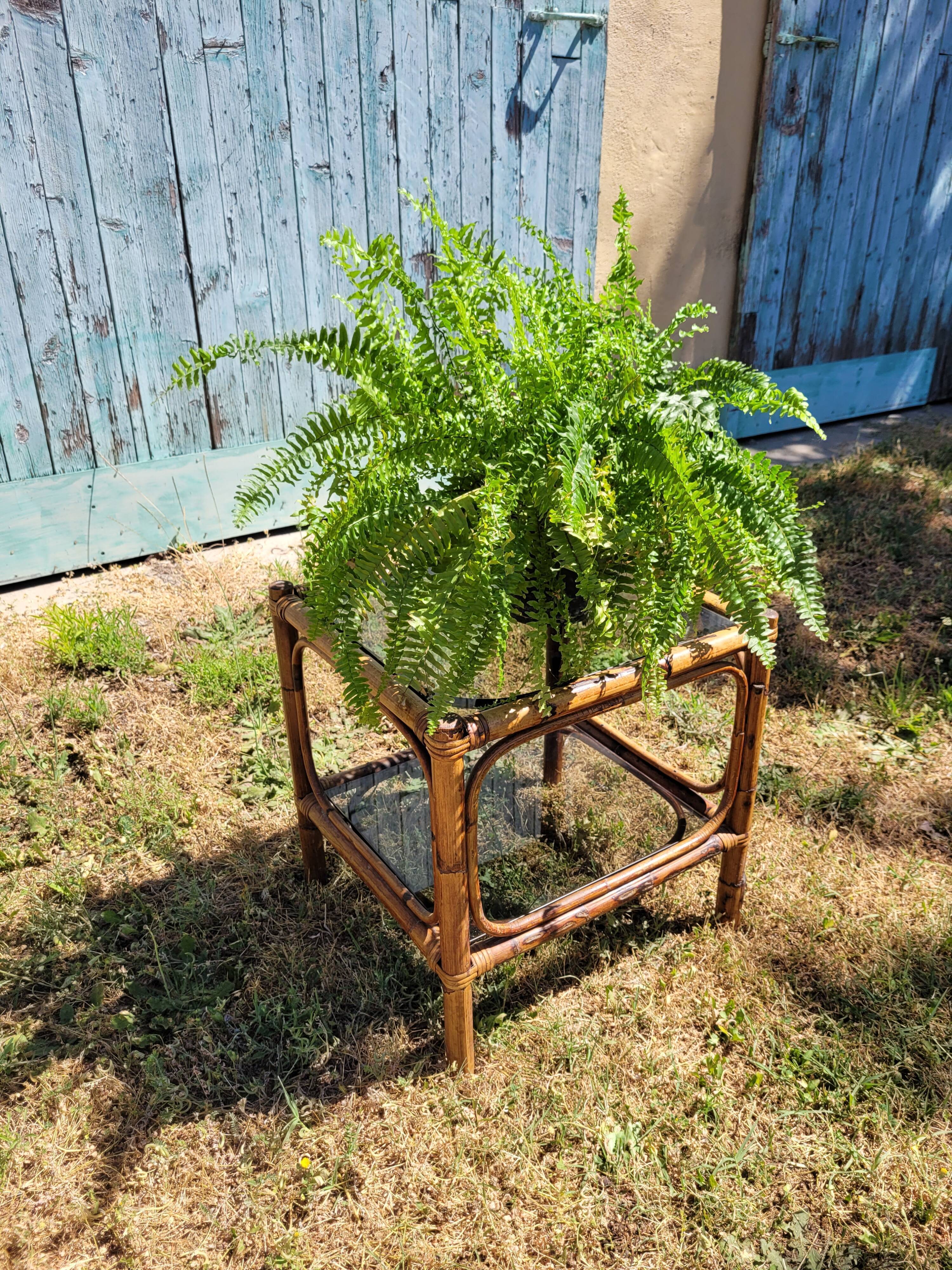 Rattan coffee table and smoked glass
