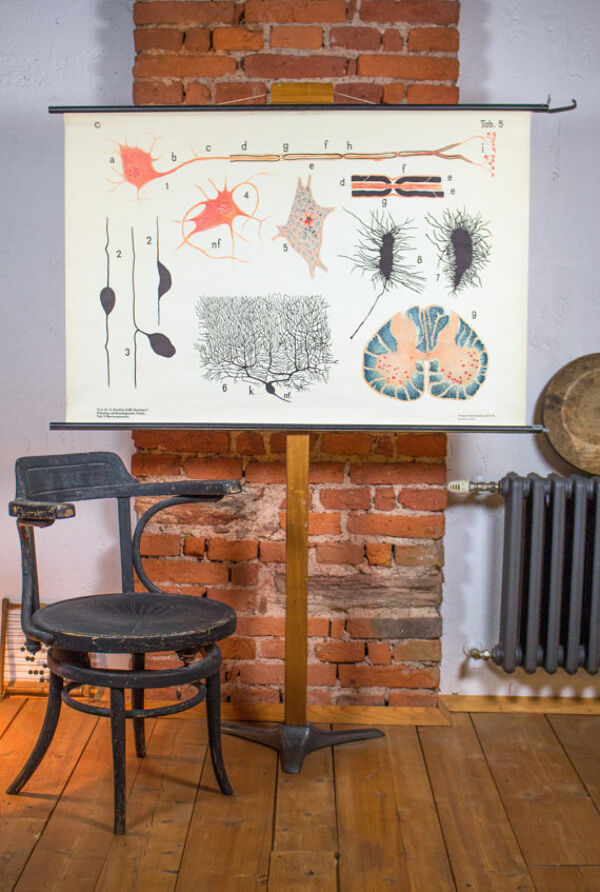 Affiche ''Cellule'' publié par Gerhard Gembke Berlin