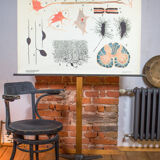 Displays "Cell" published by Gerhard Gembke Berlin