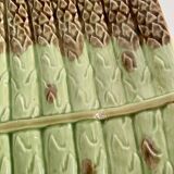 Asparagus barbotine service