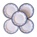Set of 5 plates iron earth Salins