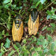 Set of 2 cicadas yellow ceramic vintage