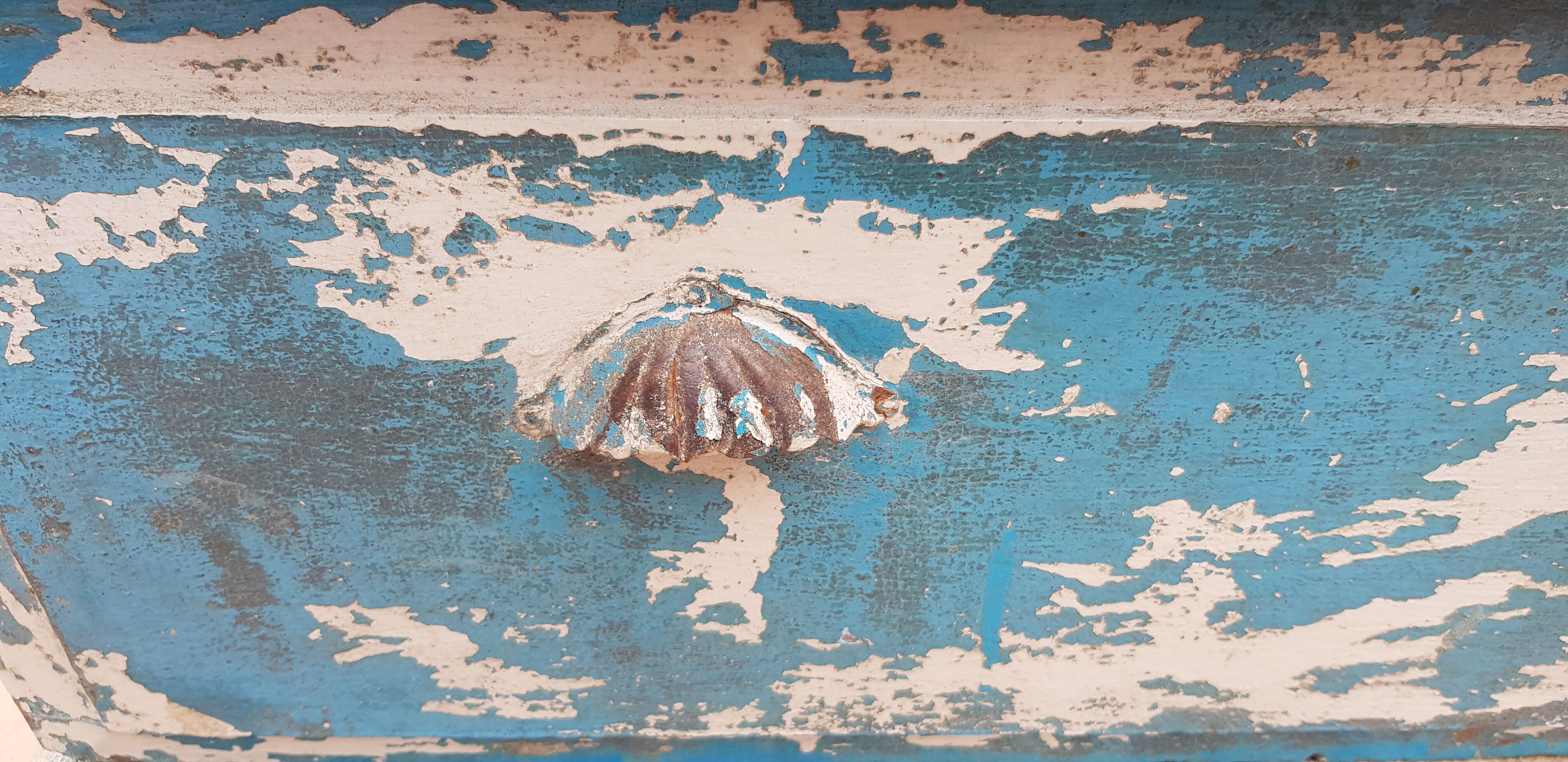 Former "Meman" clinar