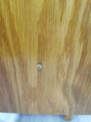 Sideboard by Jiri Jiroutek, Interier Prague, 1960s