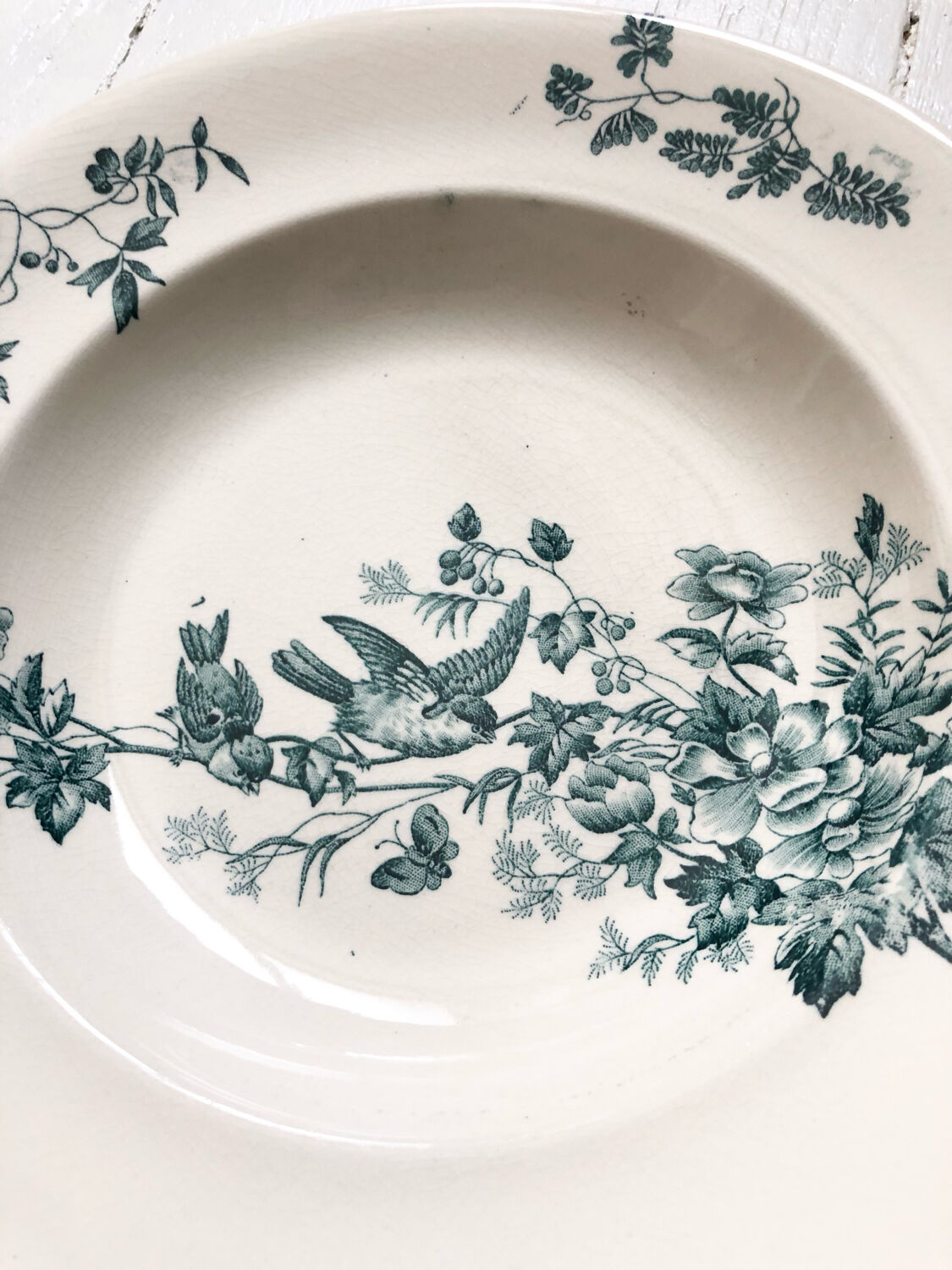 6 assiettes terre de fer oiseaux Longwy « mignon »