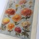 Antique print • Chrysanthemums • Original poster from 1922