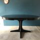 Extendable butterfly extension table