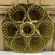 Lot 6 plates of oysters barbotine Sarreguemines