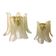 Set of 2 Clear-Gold “Petali” Murano Glass Wall Sconces in Vintage Style