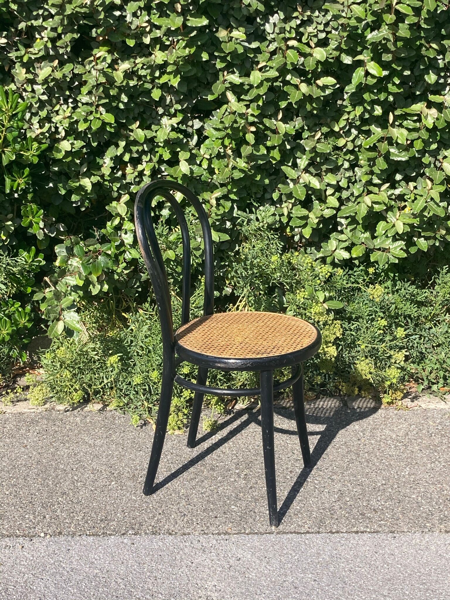 Curved wooden canework chair
