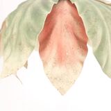 Flower and leaf suspension in pastel tones, 80s