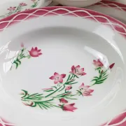 Digoin Sarreguemines 6 plates & a deep dish "Aude".