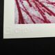 Lithographie en édition limitée "Fleurs" par Andy Warhol par CMOA. Après