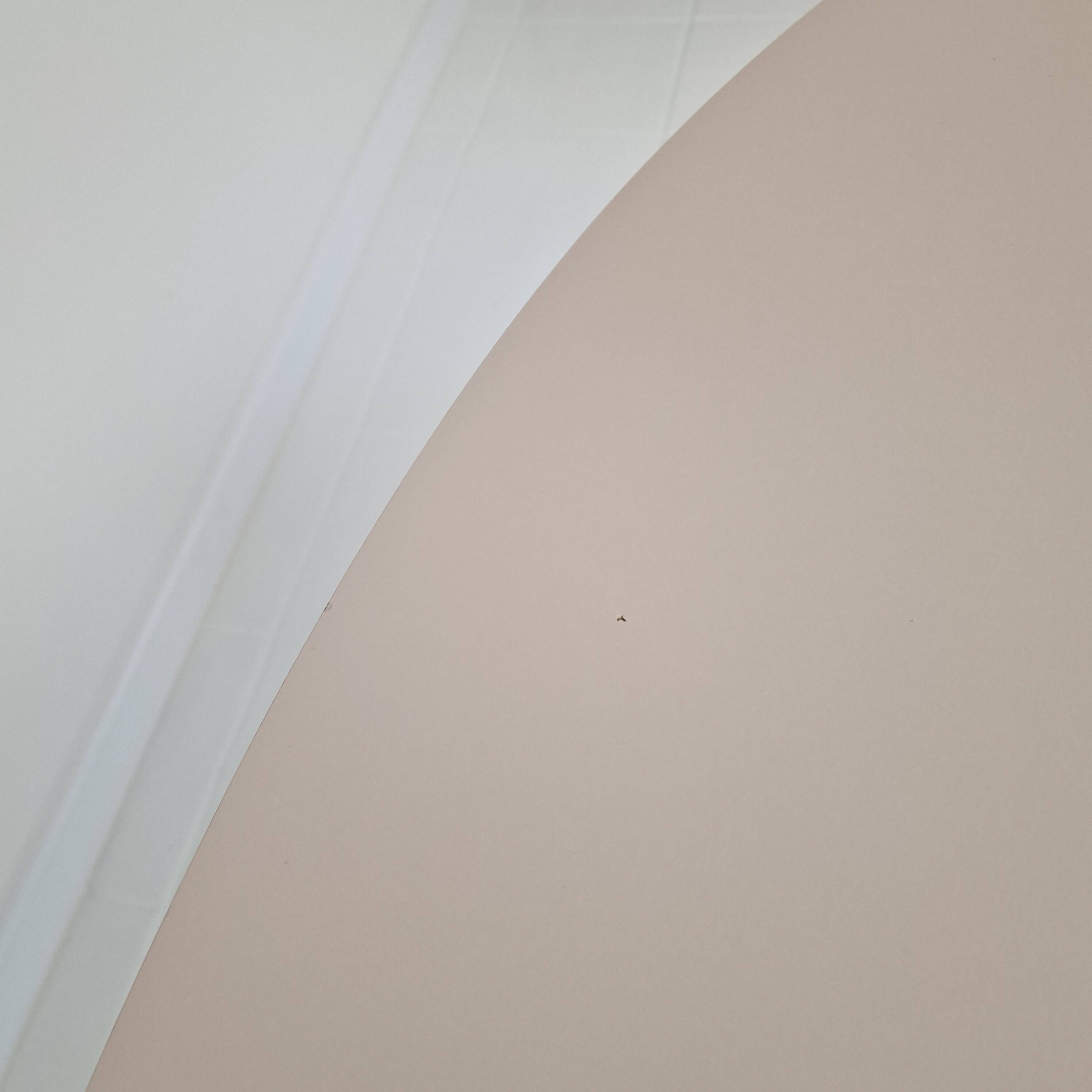 Oval Dining Table by Pierre Paulin for Artifort