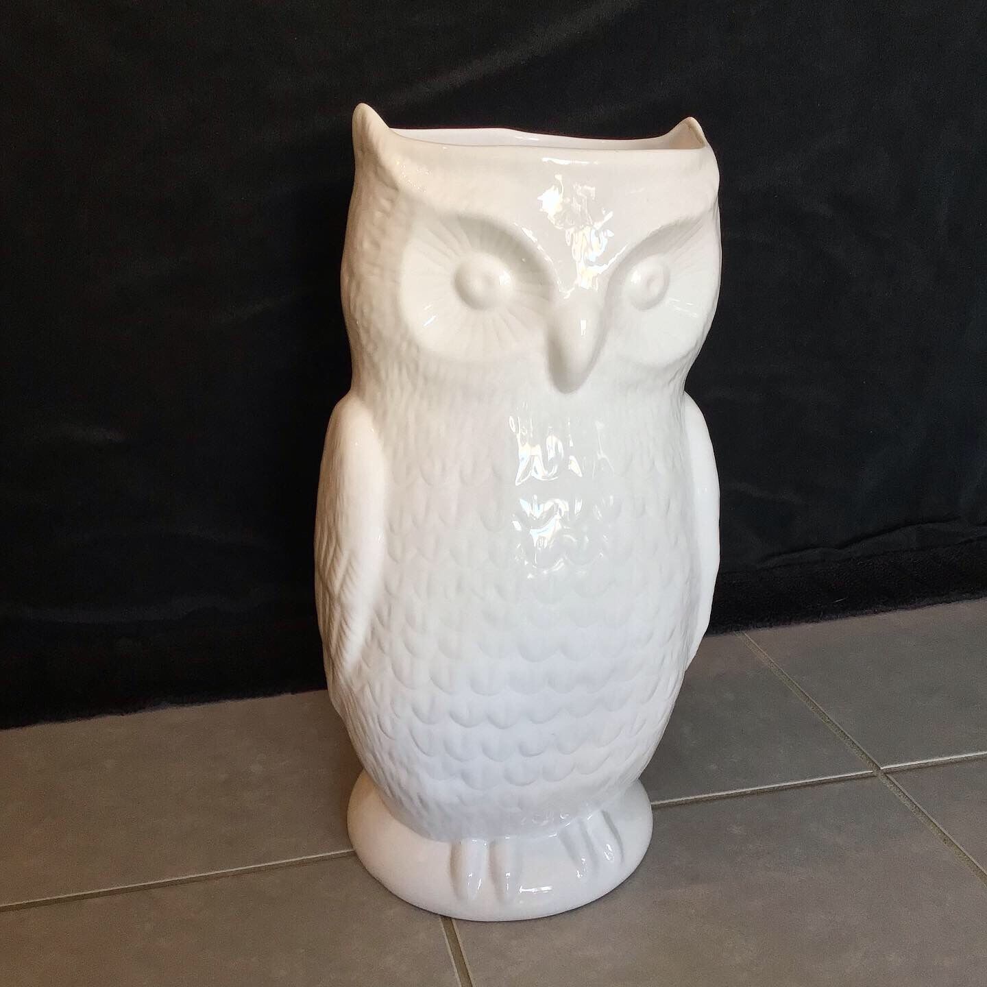 White owl umbrella door