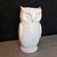 White owl umbrella door