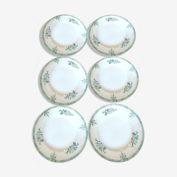 6 flat plates saint Amand tone green series 4003