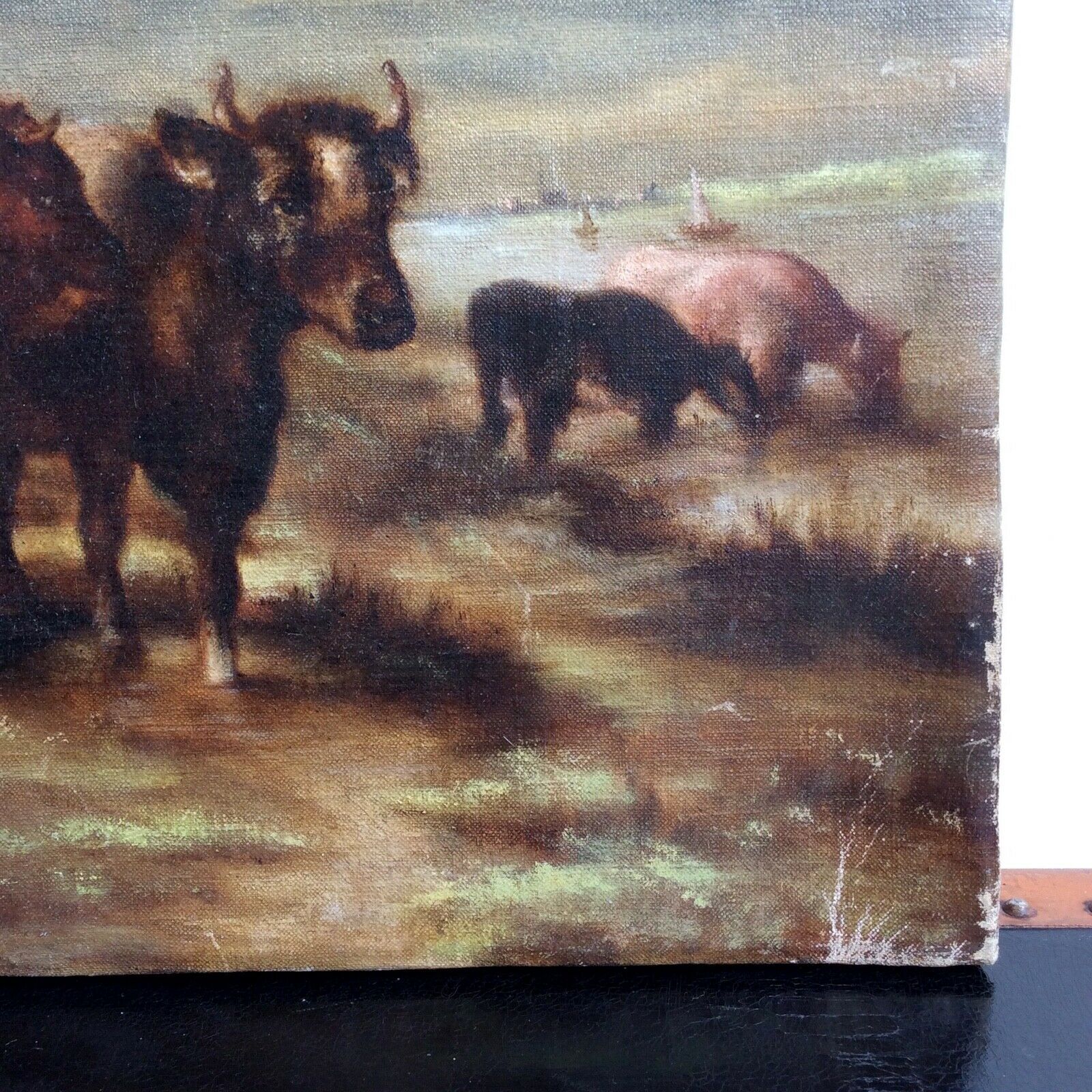 Table Oil on Canvas Cows and Bull grazing Signed FROM HAAS 1886