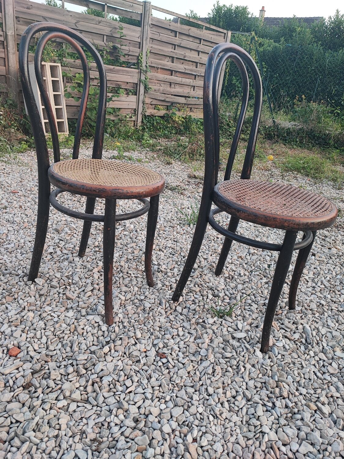 Duo de chaises cannées, Thonet Austria