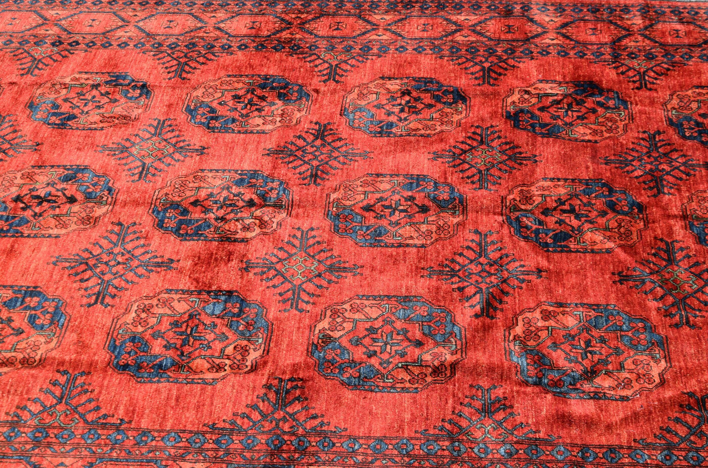 Oriental carpet Boukhara Turkmen Afghanistan: 350 x 255 cm
